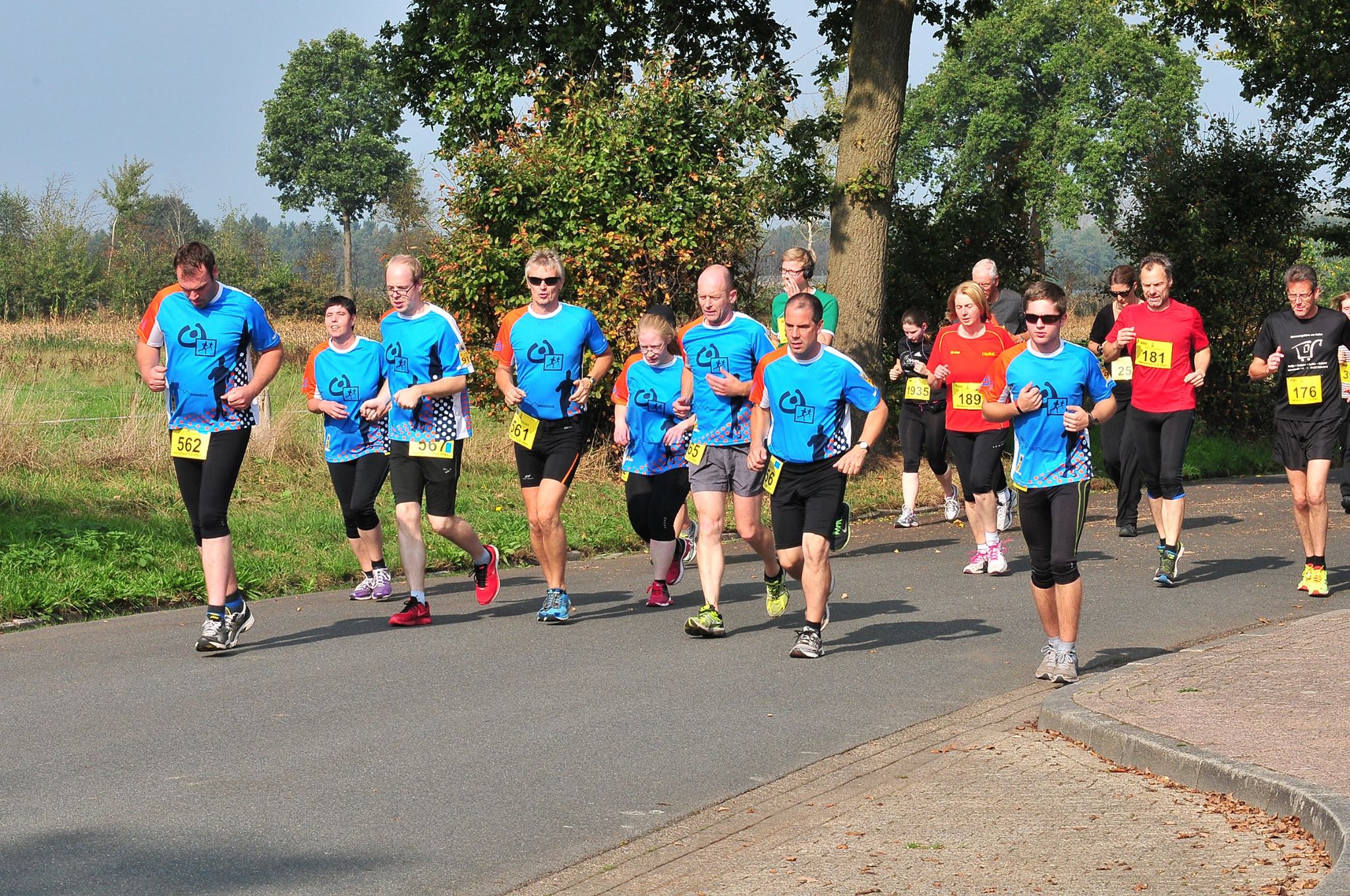 Ofen 2014